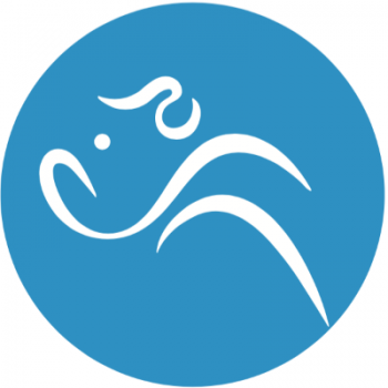Women's Tennis Foundation Logo